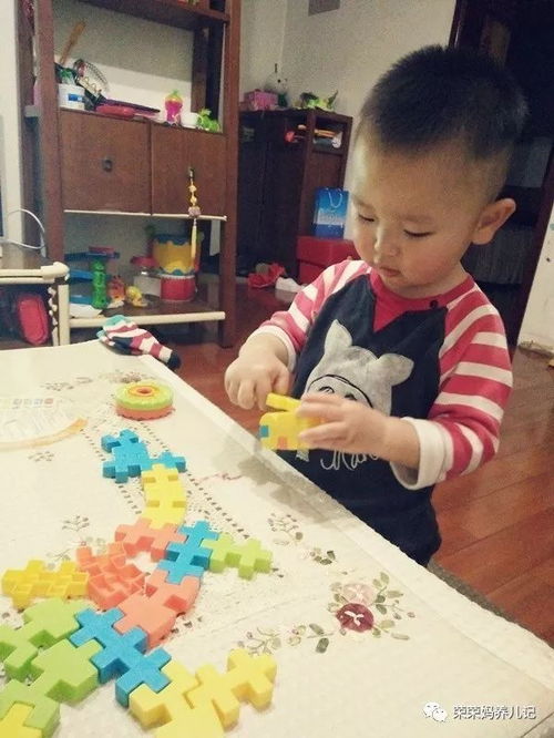 拼插類玩具哪家強(qiáng)之拔草專區(qū) 盤點(diǎn)李大榮不愛玩的那些拼插玩具