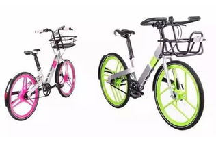 上海街頭12款共享單車(chē)大比拼 哪個(gè)是你的菜