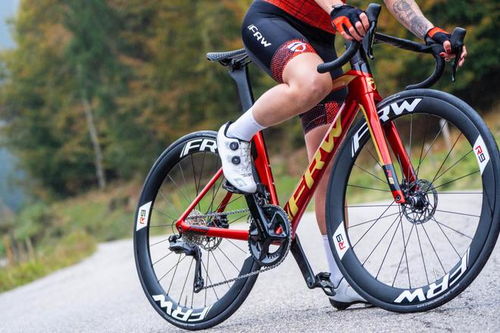 世界名牌自行車前十名福倫王土撥鼠進(jìn)口中國自行車最好的三個(gè)品牌